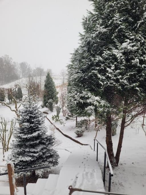 Villa Roubenka U Kaplicky Liberec Esterno foto