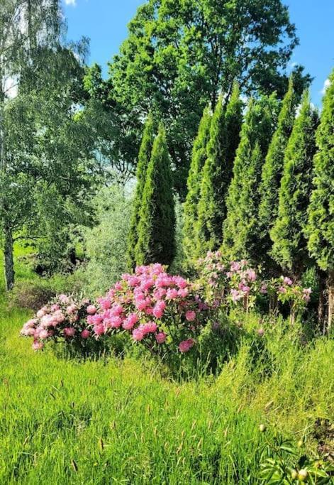Villa Roubenka U Kaplicky Liberec Esterno foto