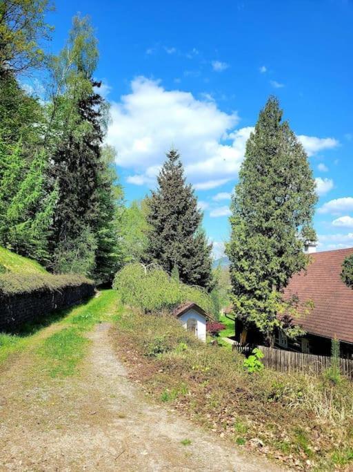 Villa Roubenka U Kaplicky Liberec Esterno foto